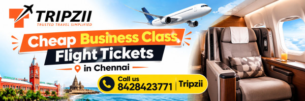 Cheap Business Class Flight Tickets in Chennai | Call us 8428423771 | Tripzii